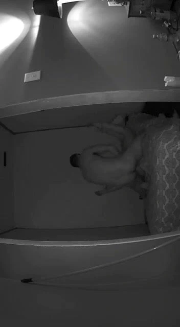 Secret sex tape
